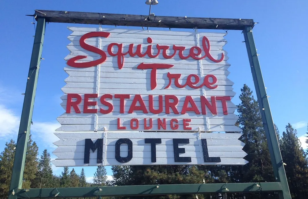 Squirrel Tree Resort-1